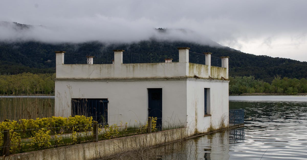 Historical Development of Thermal Removal Methods for Insulation