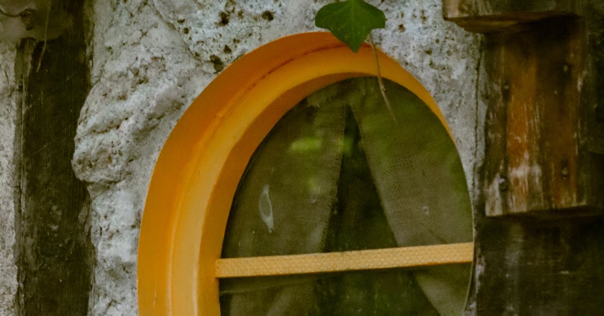 Review of Health and Safety Practices for Insulation Removal