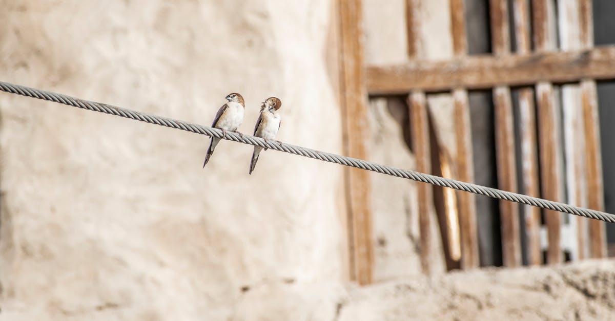 Why Mechanical Removal is a Preferred Option for Cavity Wall Insulation