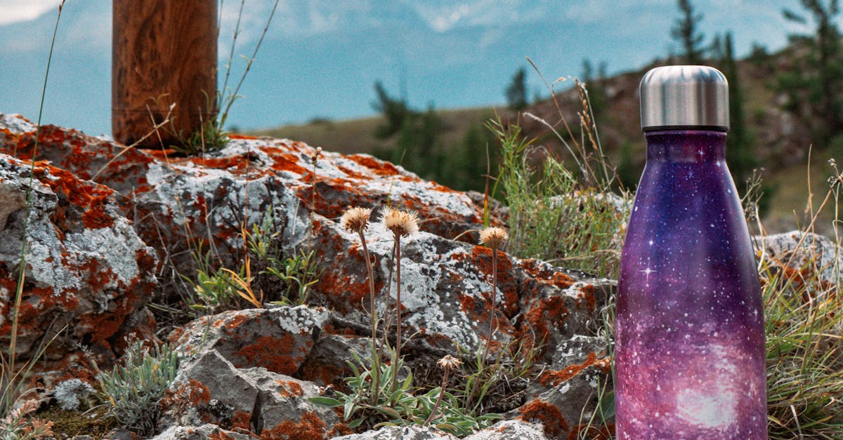 Why Proper Insulation Material Assessment is Crucial